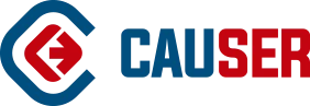 Causer