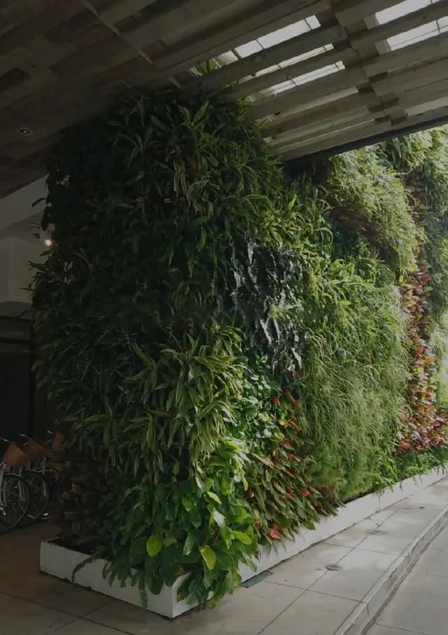 Jardines verticales naturales